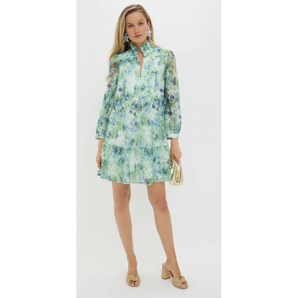 Tuckernuck Palmerston Dress XS Water Lilies Floral Organza Mini Green Blue NWT